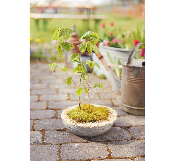 Beton voor creatievelingen