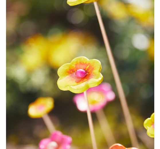 VBS Craft paint set "Colorful Live"