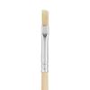 VBS Bristle brushes "Nature"