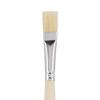 VBS Bristle brushes "Nature"