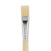 VBS Bristle brushes "Nature"