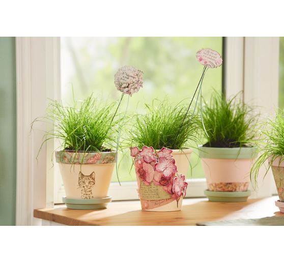 Pots en terre cuite