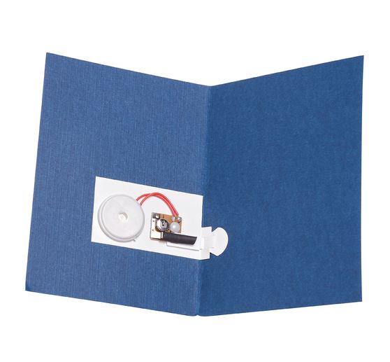 Modules musicaux VBS « Happy Birthday », 20 pc.