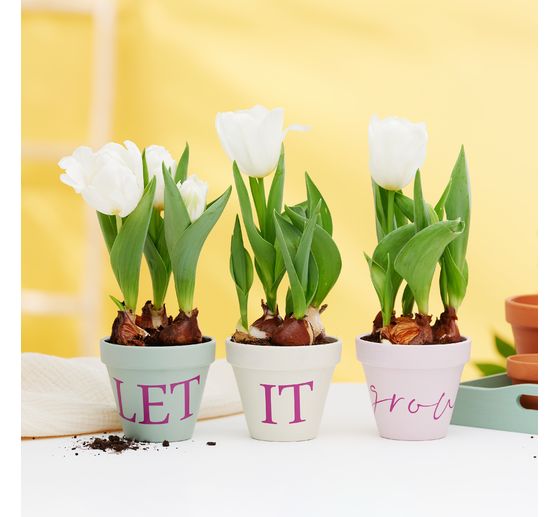 Cricut Selbstklebende Vinylfolie "Smart Vinyl - Removable", 33 x 90 cm
