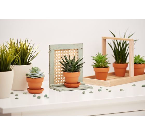 Pots en terre cuite