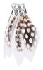 Pendentifs-plumes à pois, 6 pc.