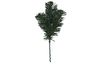 Branches de sapin VBS, 10 pc.