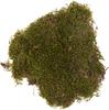 Plattenmoos, 50 g