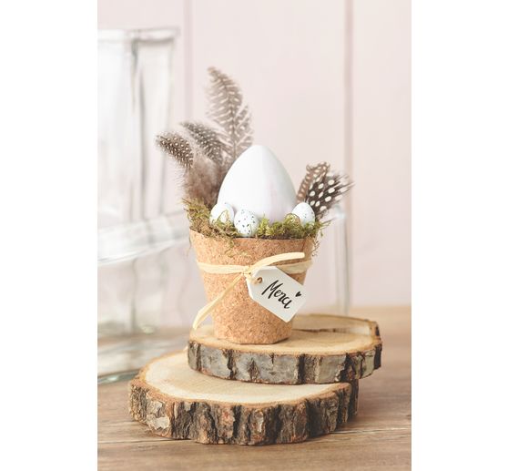 Plumes de poule