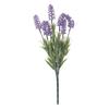 VBS Lavender pick "Lavendula"