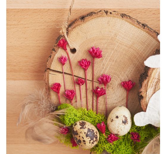 VBS Baumscheiben "Rund"