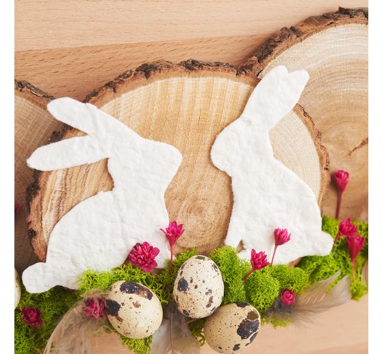 VBS Baumscheiben "Rund"