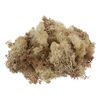 VBS Iceland moss, 100 g Nature