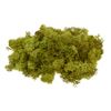 VBS Iceland moss, 100 g May Green