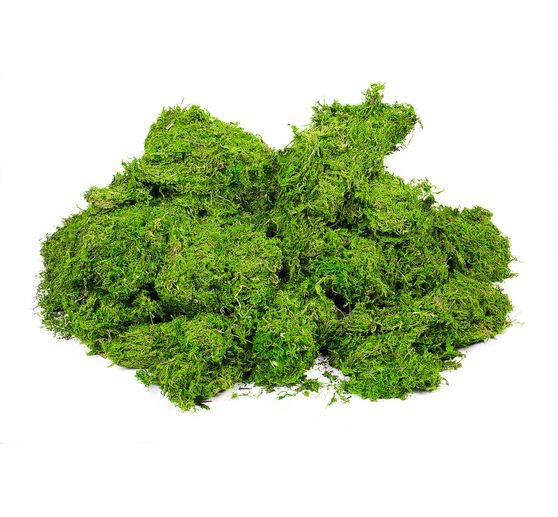 VBS Moss, 1 kg