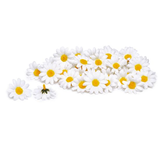 VBS Madeliefjesbloesems, 50 stuks