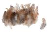 Chickens Feathers, brown, 3 g