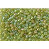 Rocailles "Rainbow" Meigroen