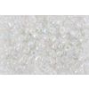 Rocailles "Rainbow" Zilver-Transparant