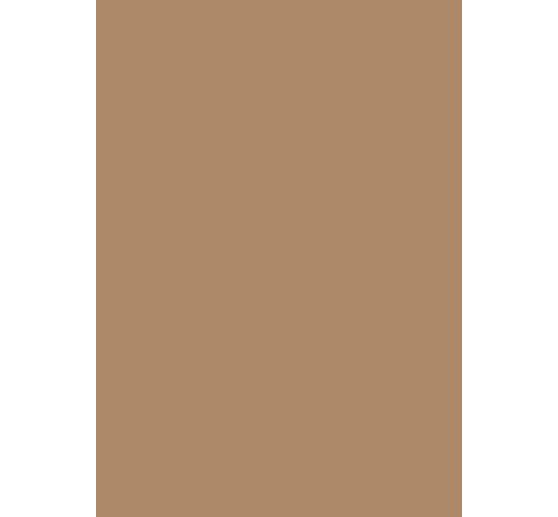 Craft cardboard sheet