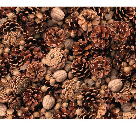 Motif photo cardboard "Fir cone"