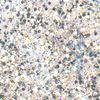 Glitter Flaky Glue Zilveren-Regenboog