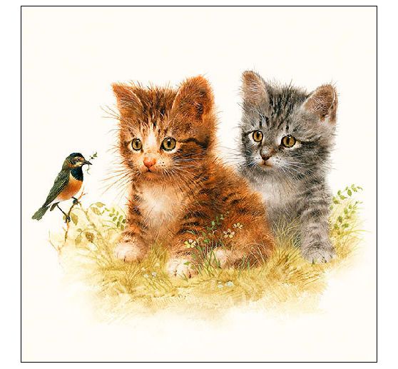 Servet "Twee kittens"