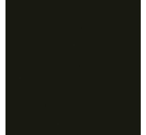 Acrylic paint Solo Goya Triton Acrylic Basic, 750 ml