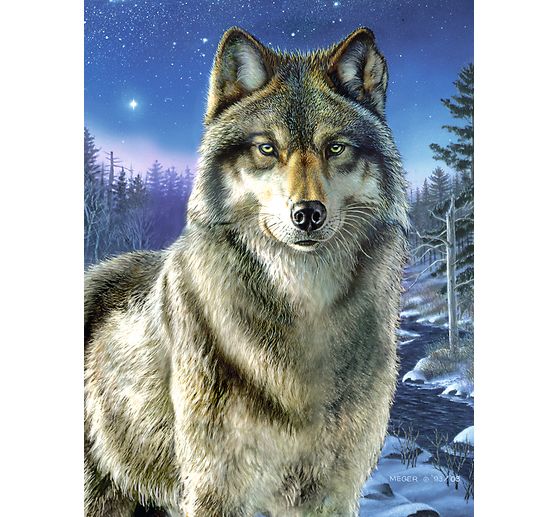 Schilderen op nummers "Wolf", 23 x 30 cm